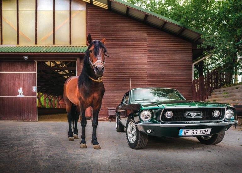 Thumbnail for my Gallery with Ford Mustang