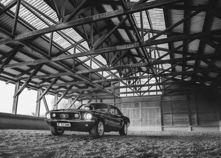 Thumbnail for my Gallery with Ford Mustang