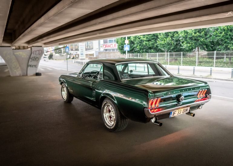 Thumbnail for my Gallery with Ford Mustang